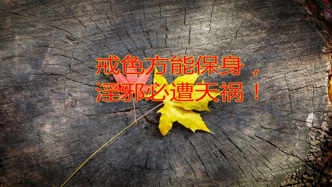 图片1嗯嗯.png