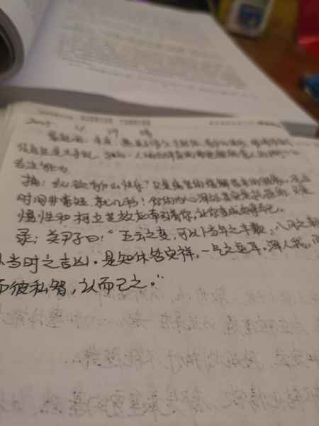 IMG_20250429_224038.jpg