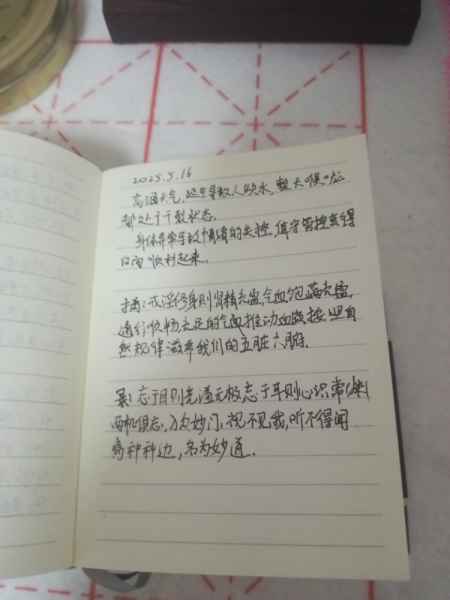 1747405606516.jpg