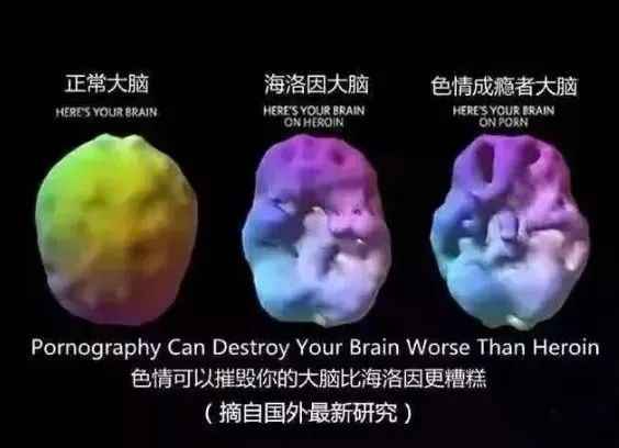 mmexport17cde4e7732c8c3155d918fd7727e858_1754573363876.jpeg